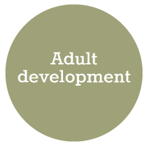 adult-dev-icon